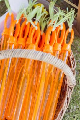 Carrot Bubble Wand-Pinterest